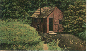 Camp in Roycroft Woods